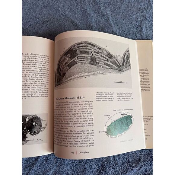 Vintage Biology Cell Book 1984 - Picture 4 of 6